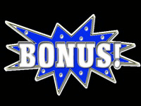 Spletni casino bonusi